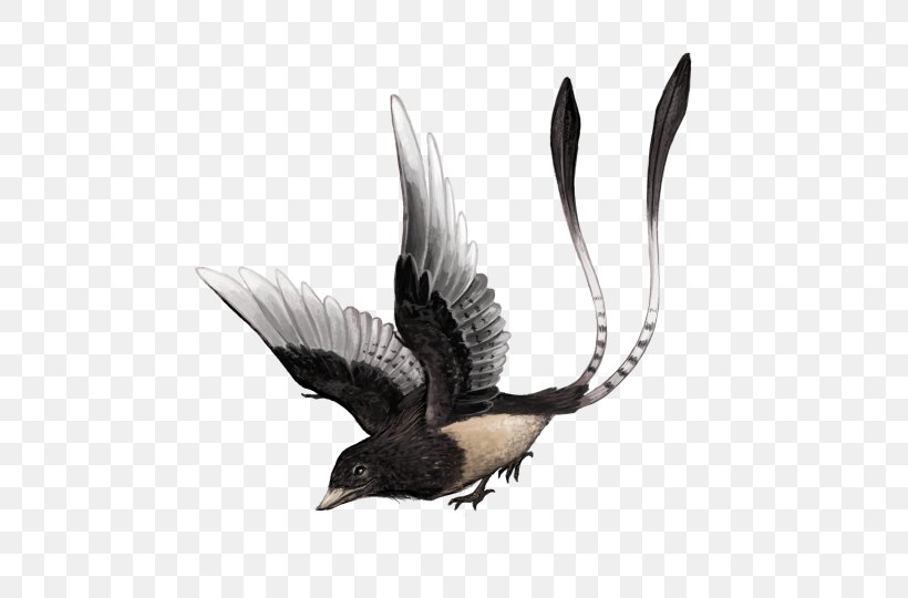 Confuciusornis Beak Dinosaur Hatzegopteryx Feilongus, PNG, 540x540px, Beak, Animal, Bird, Dinosaur, Ducks Geese And Swans Download Free