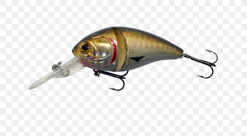 Perch Spoon Lure Insect Fish AC Power Plugs And Sockets, PNG, 627x453px, Perch, Ac Power Plugs And Sockets, Bait, Bony Fish, Fish Download Free