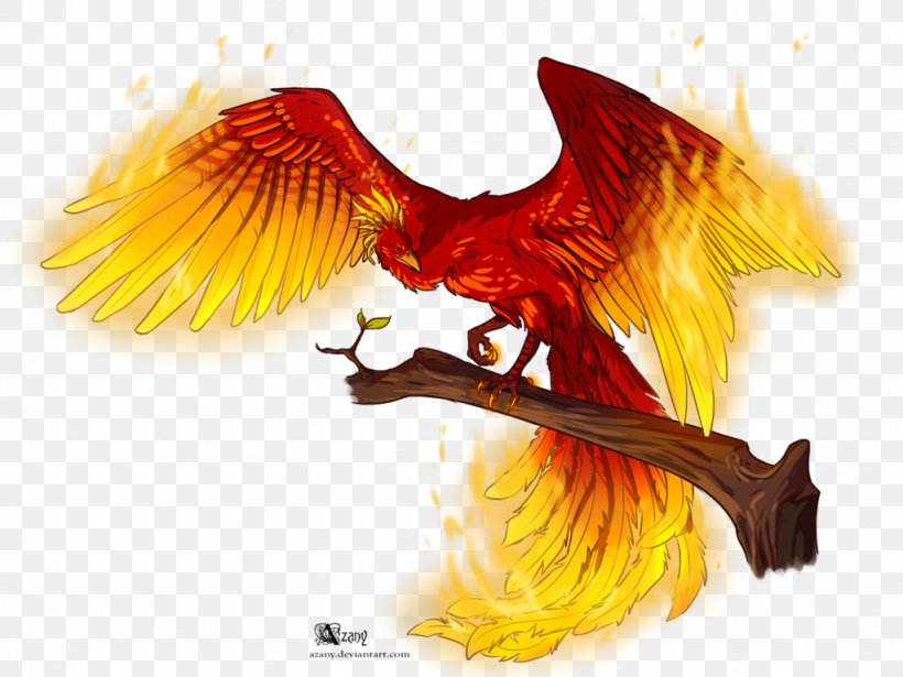 Phoenix Fire Flame Drawing, PNG, 1024x768px, Phoenix, Art, Beak, Chinese Art, Drawing Download Free