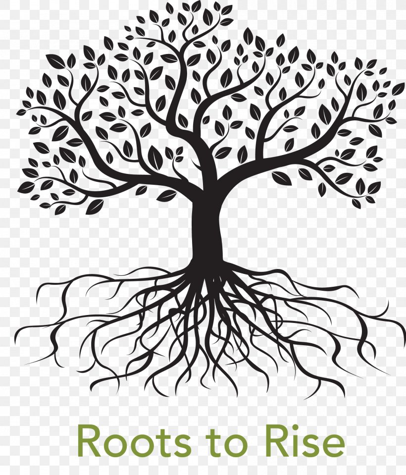Root Tree Drawing Royalty-free, PNG, 1896x2218px, Root, Art, Artwork, Black And White, Branch Download Free