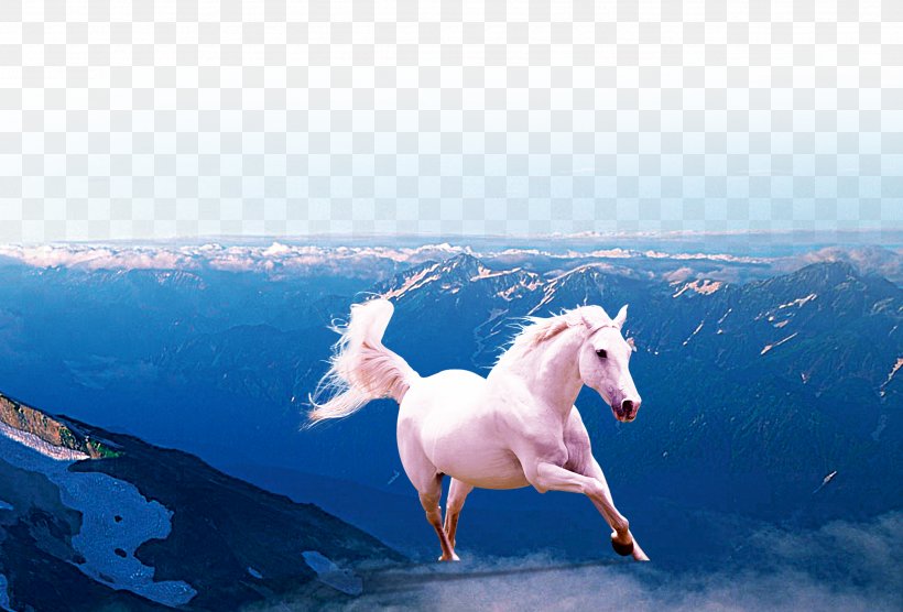 Horse Gallop Wallpaper, PNG, 2543x1725px, Horse, Fictional Character, Gallop, Horse Like Mammal, Livestock Download Free