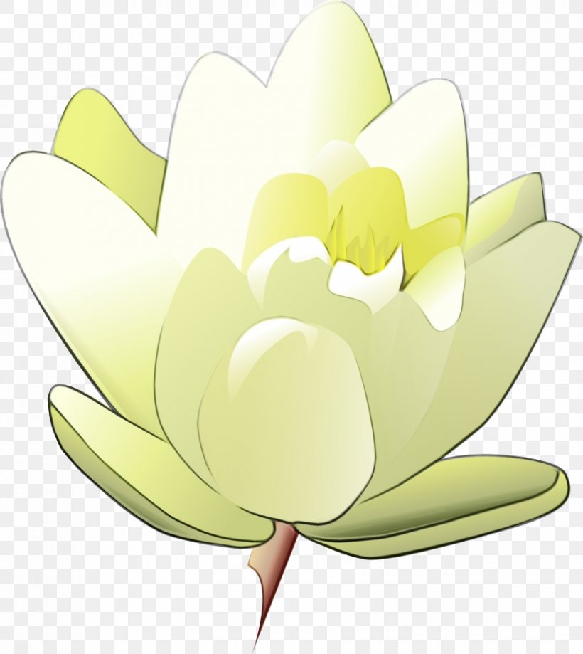 Lily Flower Cartoon, PNG, 892x1000px, Floral Design, Aquatic Plant, Aquatic Plants, Education, Flora Download Free