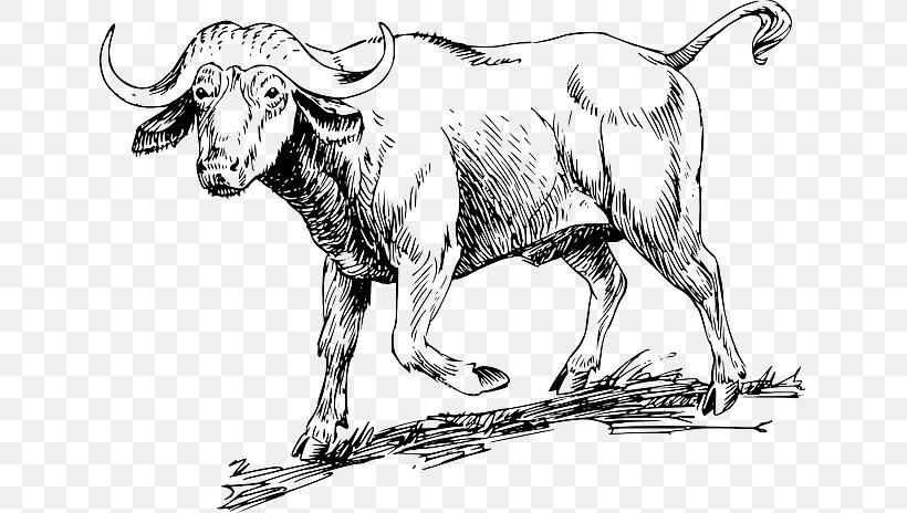 Ox Water Buffalo Beef Cattle Bull Clip Art, PNG, 640x464px, Water Buffalo, American Bison, Animal Figure, Art, Artwork Download Free