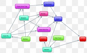 Amazon Rainforest Tropical Rainforest Food Web Primary Producers Png 10x900px Amazon Rainforest Acid Rain Biome Consumer Ecology Download Free