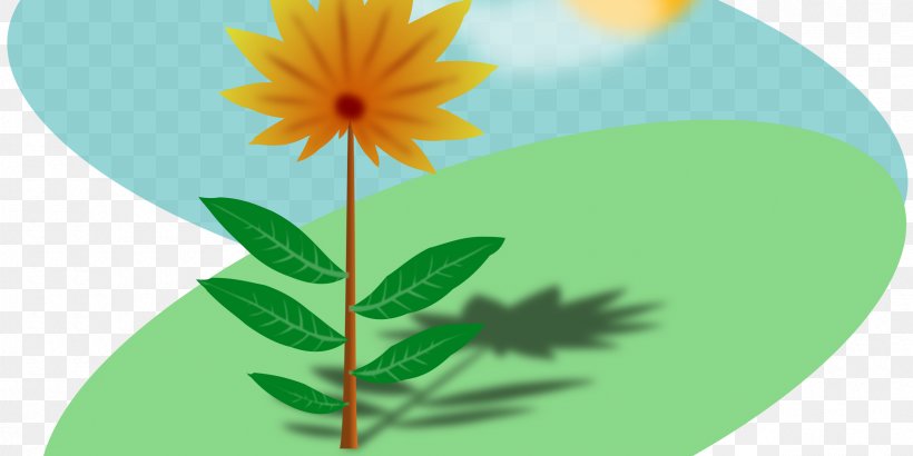 Flower Sunlight Clip Art, PNG, 2400x1200px, Flower, Cartoon, Daisy Family, Drawing, Flora Download Free