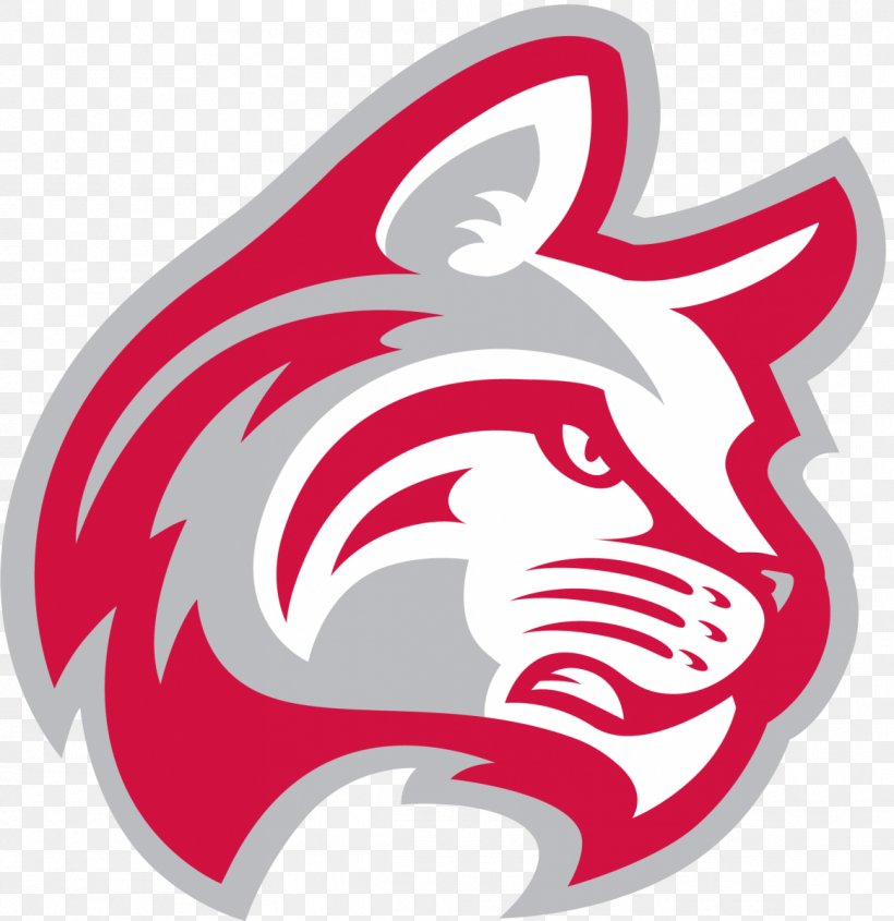 Indiana Wesleyan University Ball State University Lourdes University Bellevue University Indiana Wesleyan Wildcats, PNG, 1164x1200px, Indiana Wesleyan University, Ball State University, Bellevue University, College, College Athletics Download Free