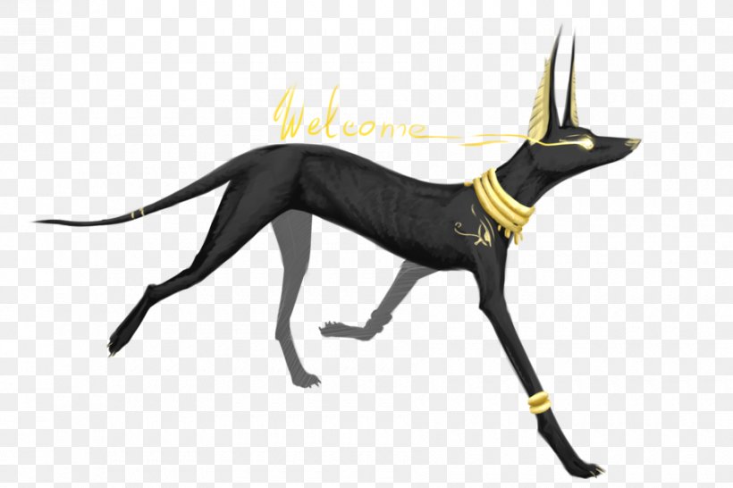 Anubis Pack Basior Dog Ancient Egypt, PNG, 900x600px, Anubis, Ancient Egypt, Apep, Basior, Bastet Download Free