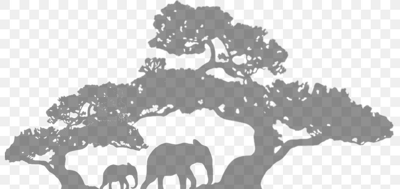 Bonsai Tree Drawing Light, PNG, 800x389px, Bonsai, Area, Black, Black And White, Cattle Like Mammal Download Free