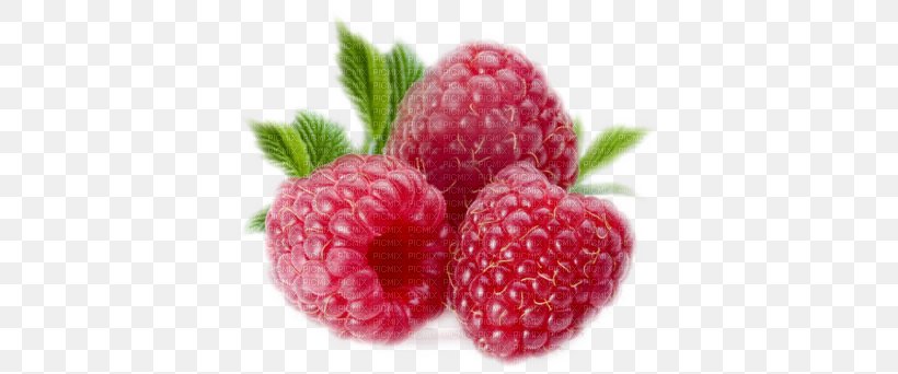 Fruit Salad Red Raspberry Vegetable, PNG, 400x342px, Fruit Salad, Accessory Fruit, Aggregate Fruit, Berry, Blackberry Download Free
