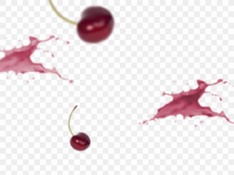Cranberry Cherry Close-up Auglis, PNG, 2000x1500px, Cranberry, Auglis, Berry, Cherry, Closeup Download Free