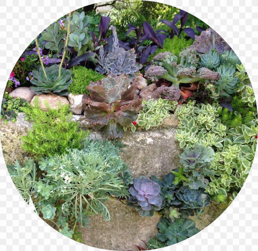 Garden Landscape Herb Vegetation Groundcover, PNG, 1600x1560px, Garden, Flowerpot, Grass, Groundcover, Herb Download Free