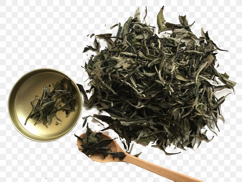 White Tea Dianhong Golden Monkey Tea Nilgiri Tea, PNG, 4032x3024px, White Tea, Assam Tea, Bai Mudan, Baihao Yinzhen, Bancha Download Free