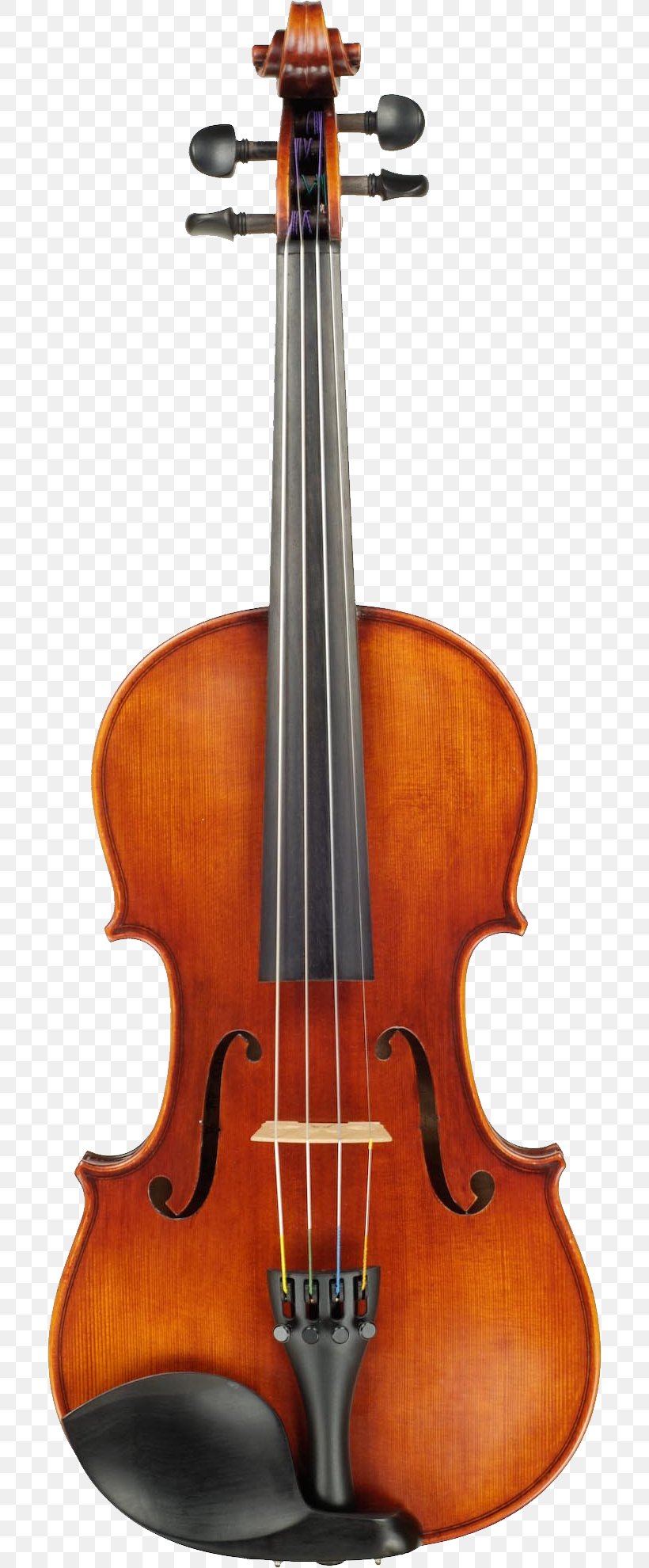 Cremona Japan Lady Blunt Stradivarius Violin, PNG, 700x1980px, Lady Blunt Stradivarius, Acoustic Electric Guitar, Amati, Antonio Stradivari, Bass Guitar Download Free