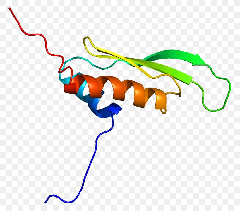Double-stranded RNA Viruses PRKRA Protein Kinase, PNG, 812x721px, Doublestranded Rna Viruses, Area, Arn Double Brin, Artwork, Calmodulin Download Free