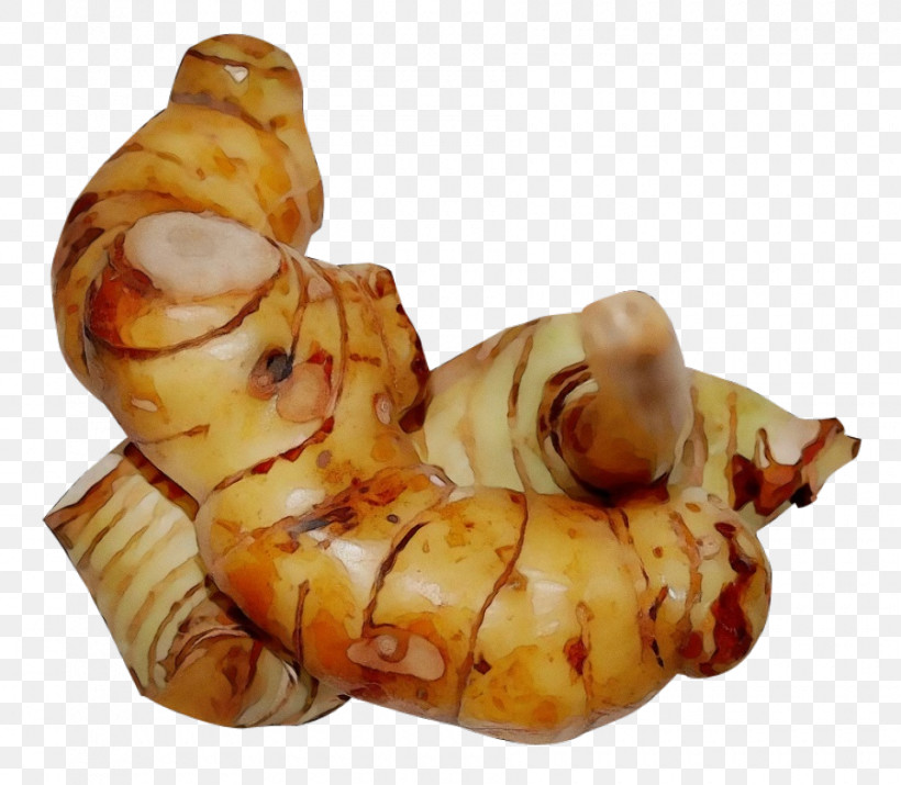 Galangal Tuber Ingredient, PNG, 900x785px, Watercolor, Galangal, Ingredient, Paint, Tuber Download Free