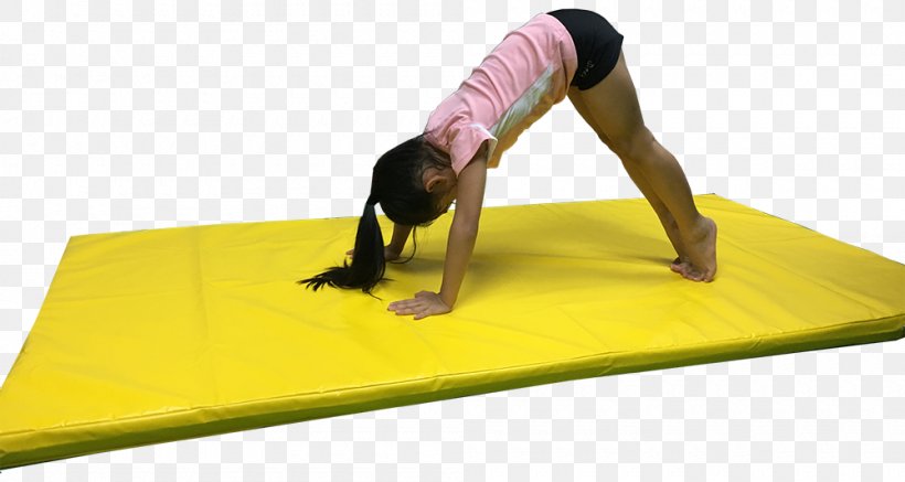 Mat Gymnastics Fitness Centre Sporting Goods Physical Education, PNG, 1000x534px, Mat, Balance, Ball, Exercise, Fitness Centre Download Free
