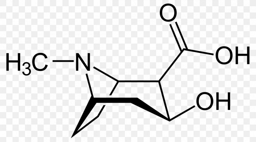 Ecgonine Drug Chemistry Isoleucine Chemical Substance, PNG, 1200x668px, Ecgonine, Amphetamine, Area, Benzoylecgonine, Black Download Free