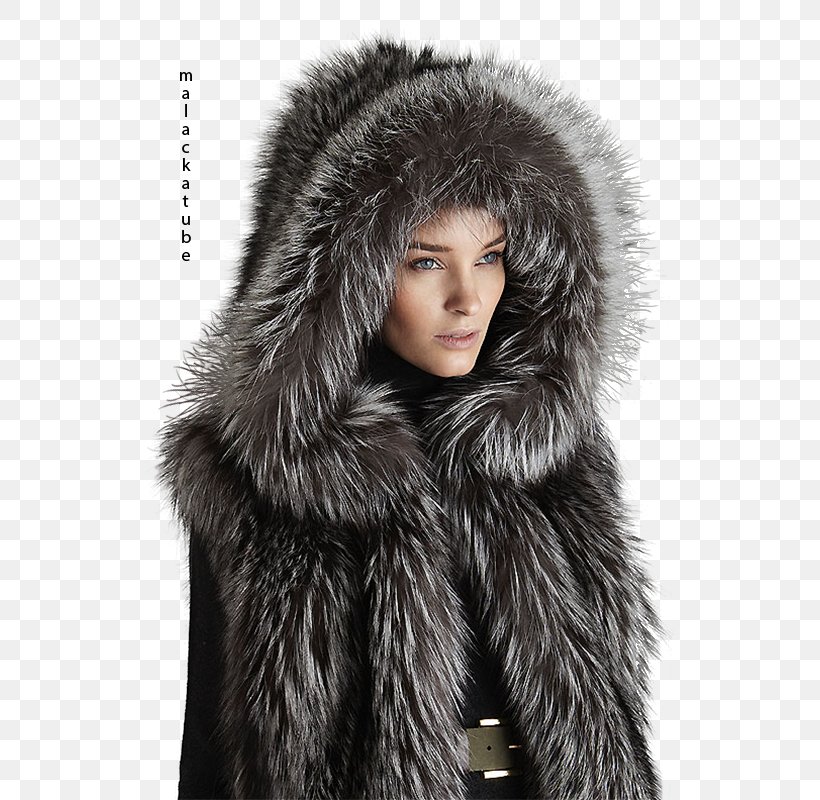 Fur Fashion, PNG, 566x800px, Fur, Coat, Fashion, Fashion Model, Fur Clothing Download Free
