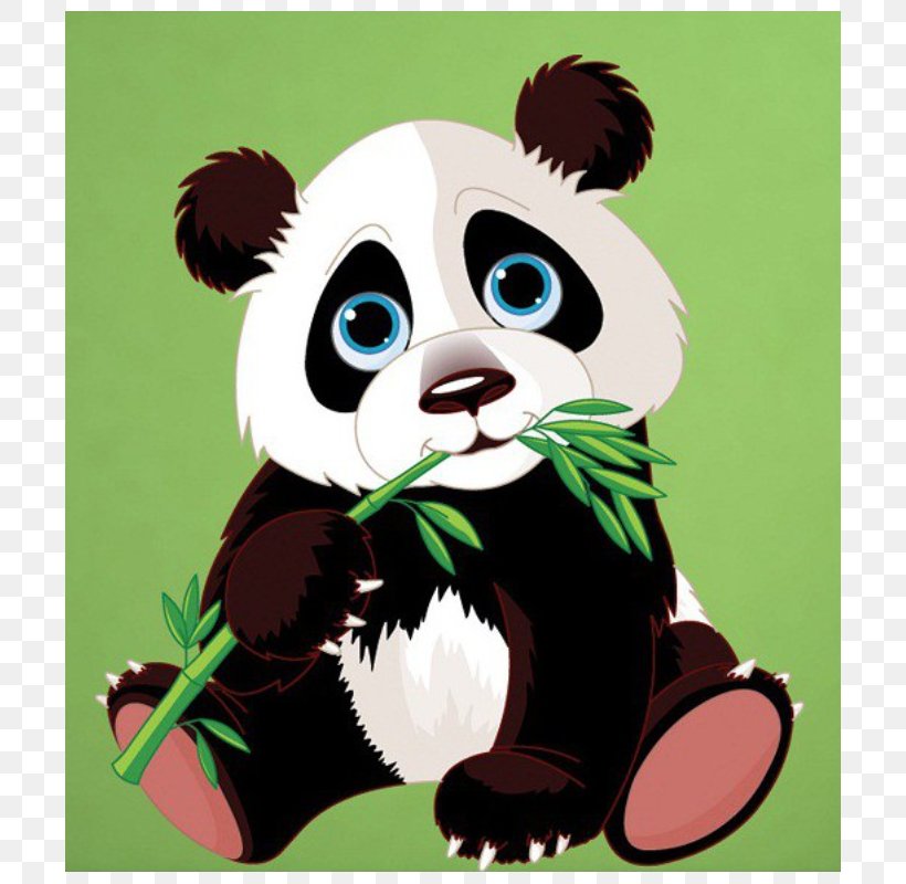 Giant Panda Bear Red Panda Clip Art Drawing, PNG, 800x800px, Giant Panda, Baby Panda, Bear, Caricature, Carnivoran Download Free