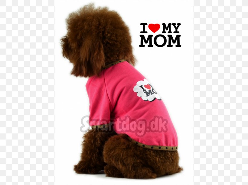 Standard Poodle Puppy Dog Breed Companion Dog, PNG, 610x610px, Standard Poodle, Breed, Carnivoran, Clothing, Companion Dog Download Free