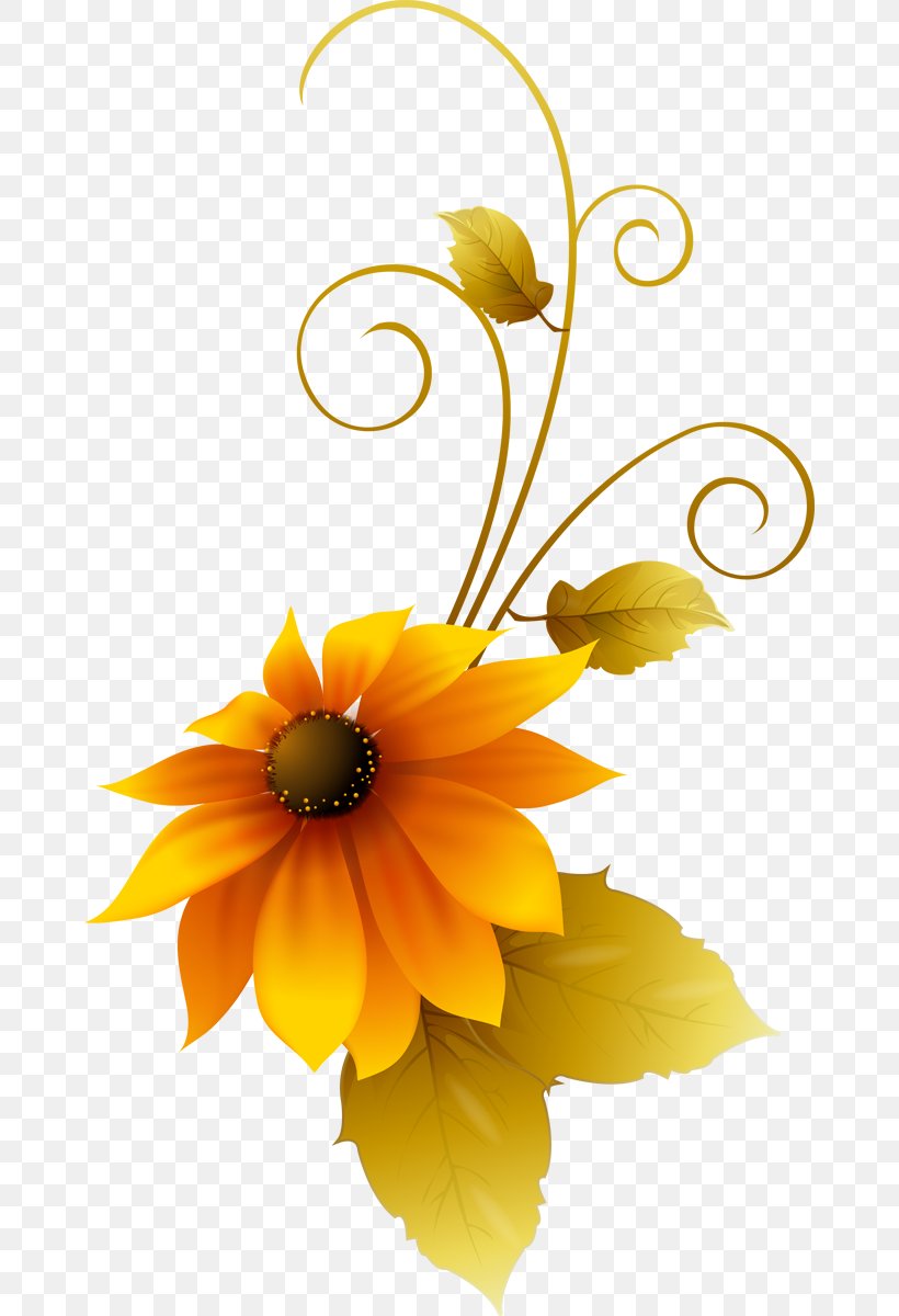 Common Sunflower Adobe Photoshop Design Graphics, PNG, 666x1200px, Common Sunflower, Art, Brush, Calendula, Computer Software Download Free