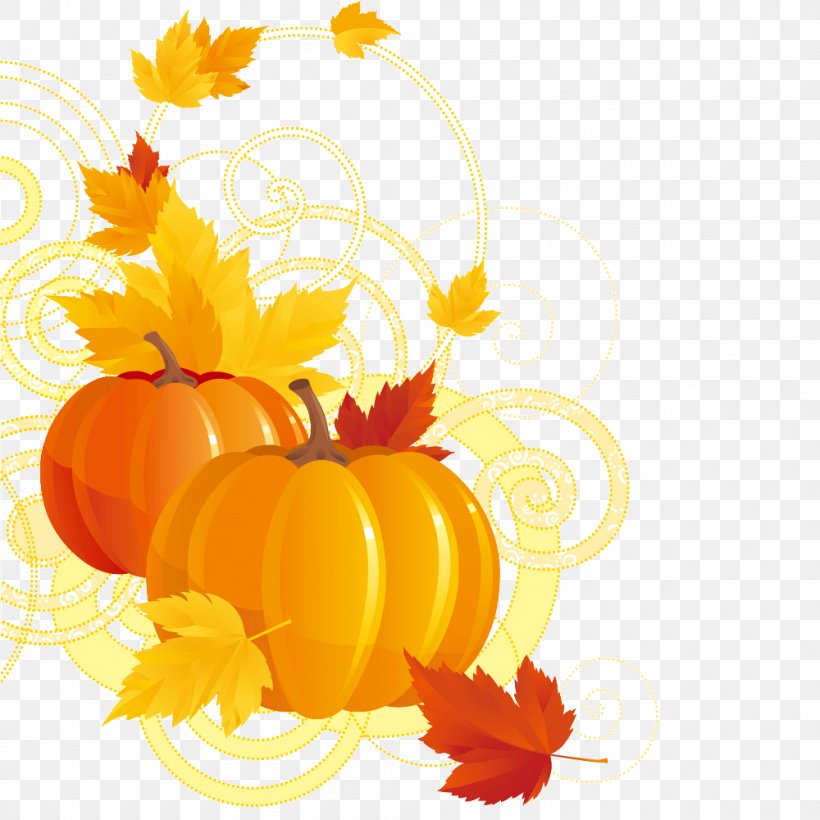 Pumpkin Pie Jack-o'-lantern Clip Art, PNG, 1000x1000px, Pumpkin Pie, Autumn, Calabaza, Clip Art, Cucurbita Download Free