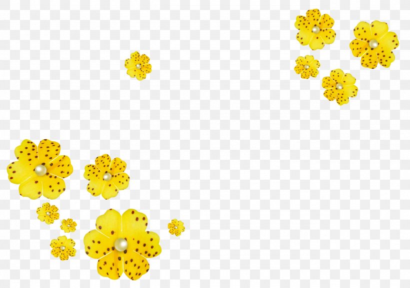 Yellow Cut Flowers Orange, PNG, 2554x1798px, Yellow, Body Jewelry, Chrysanthemum, Chrysanths, Color Download Free
