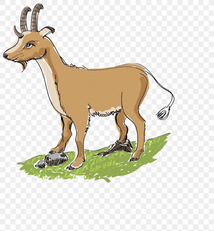 Cattle Deer Mammal La Foret Des Vert'tiges Goat, PNG, 833x900px, Cattle, Animal, Animal Figure, Antelope, Beam Download Free
