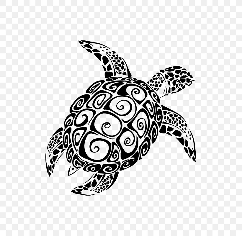Sea Turtle Wall Decal Sticker, PNG, 800x800px, Turtle, Art, Bathroom, Black And White, Decal Download Free