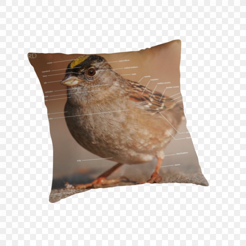 Throw Pillows Cushion Beak, PNG, 875x875px, Throw Pillows, Beak, Cushion, Fauna, Throw Pillow Download Free