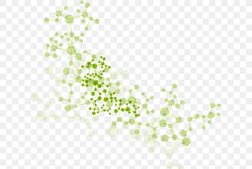 Atom Molecule Chemistry Chemical Element, PNG, 619x551px, Atom, Aforo, Area, Branch, Chemical Element Download Free