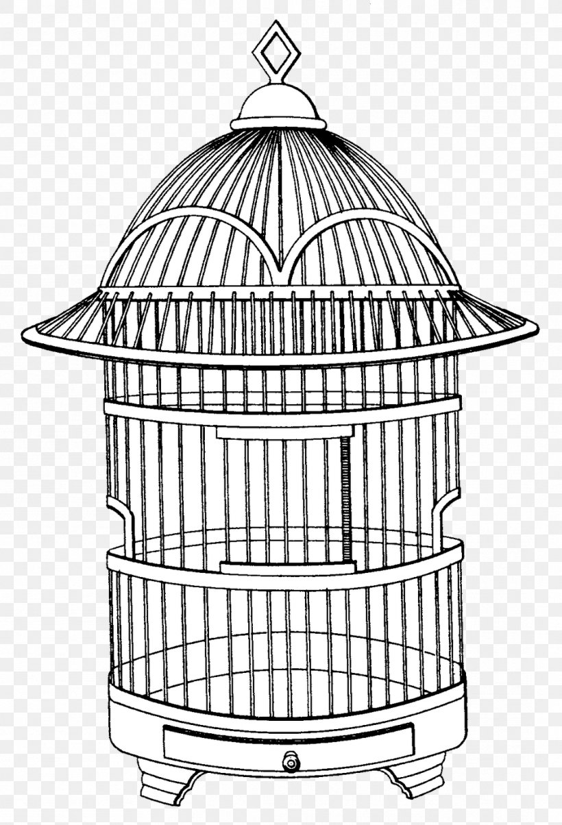 Drawing Line Art Sketch, PNG, 1089x1600px, Drawing, Art, Aviary, Birdcage, Black And White Download Free