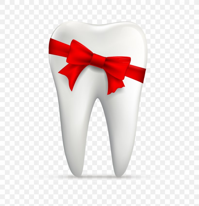 Human Tooth Euclidean Vector, PNG, 1021x1056px, Tooth, Dentist, Dentistry, Heart, Human Tooth Download Free