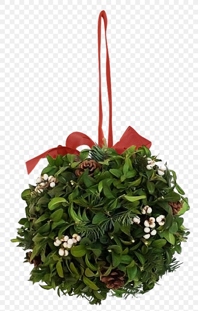 Floral Design 3D Computer Graphics Christmas, PNG, 800x1285px, 3d Computer Graphics, Floral Design, Christmas, Christmas Decoration, Christmas Ornament Download Free