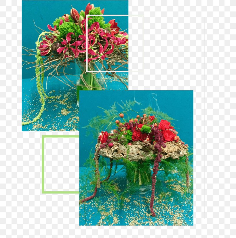 Floral Design Cut Flowers Poinsettia Fiori E Idee Marilena, PNG, 670x830px, Floral Design, Christmas, Cortona, Cut Flowers, Fiori E Idee Marilena Download Free