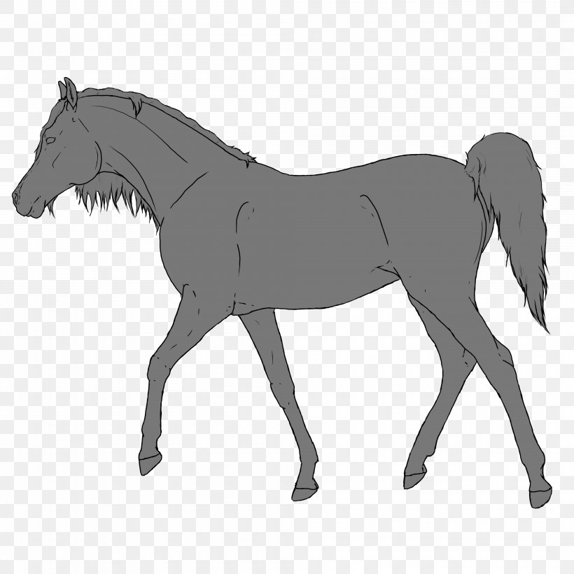 Foal Mane Horse Pony Stallion, PNG, 4000x4000px, Foal, Animal Figure, Bit, Black And White, Bridle Download Free