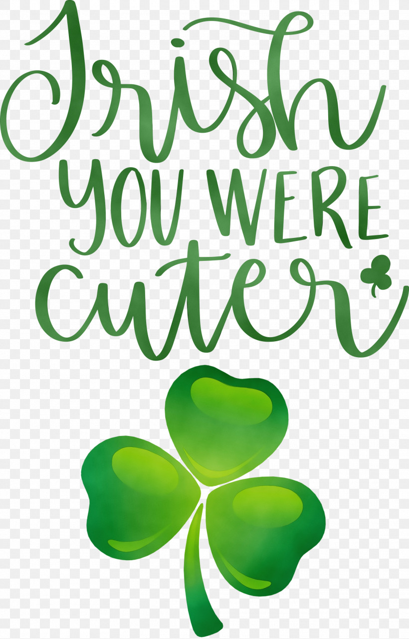 Shamrock, PNG, 1919x3000px,  Download Free