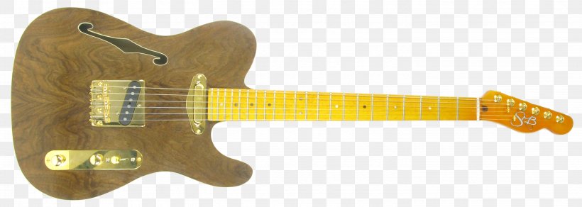 Acoustic-electric Guitar Fender Telecaster Thinline SMB Guitars, PNG, 2889x1032px, Acousticelectric Guitar, Acoustic Electric Guitar, Electric Guitar, Fender Telecaster, Fender Telecaster Thinline Download Free