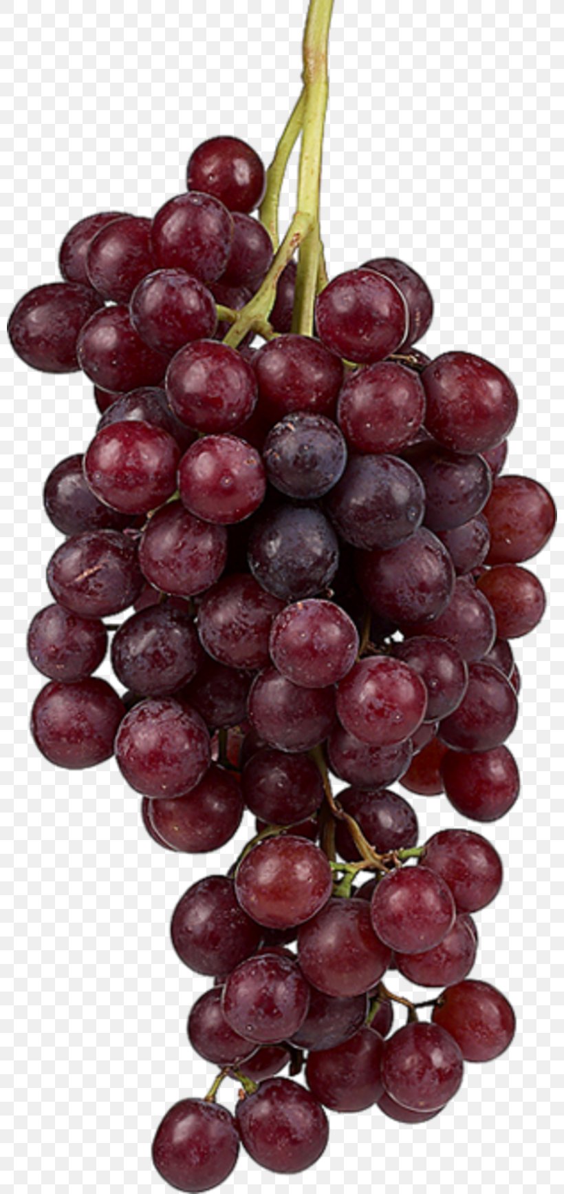 Grape Fruit Food Image Wine, PNG, 800x1734px, Grape, Art, Food, Fruit, Frutti Di Bosco Download Free