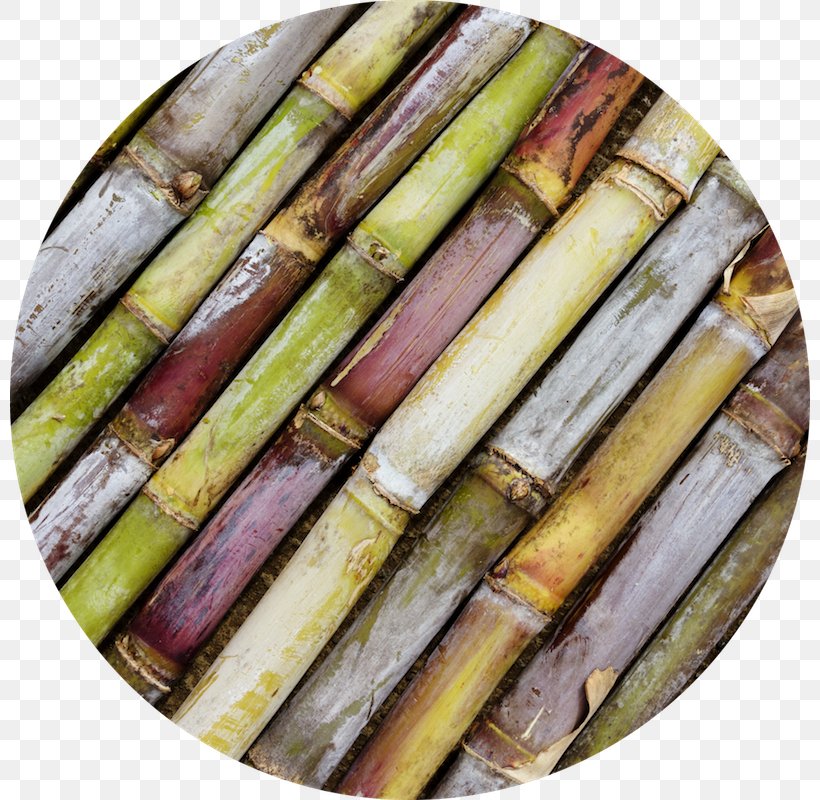 Sugarcane Cane Sugar Fotolia Variety 1-Octacosanol, PNG, 800x800px, Sugarcane, Agriculture, Banco De Imagens, Cane Sugar, Food Download Free