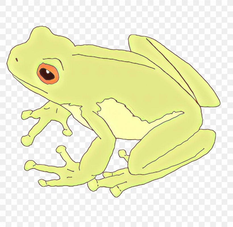 True Frog Toad Tree Frog Clip Art, PNG, 1078x1050px, True Frog, Action Toy Figures, Agalychnis, Amphibian, Animal Download Free