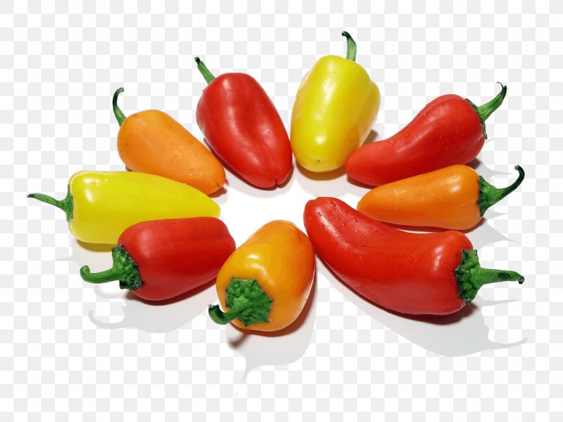 Bell Pepper Chili Pepper Orange Food Vegetable, PNG, 1280x960px, Bell Pepper, Bell Peppers And Chili Peppers, Bird S Eye Chili, Capsicum, Capsicum Annuum Download Free