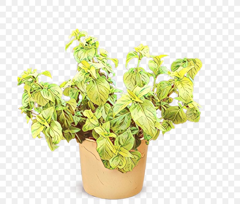Lemon Flower, PNG, 700x700px, Basil, Flower, Flowerpot, Herb, Houseplant Download Free