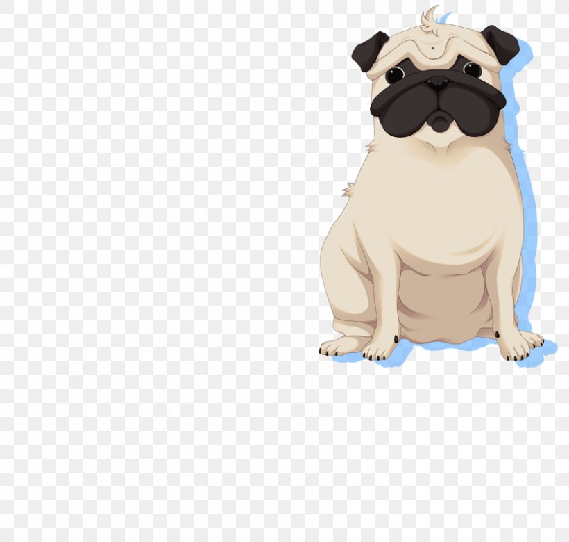 Pug Puppy Dog Breed Canidae Snout, PNG, 840x800px, Pug, Animal, Breed, Canidae, Carnivora Download Free