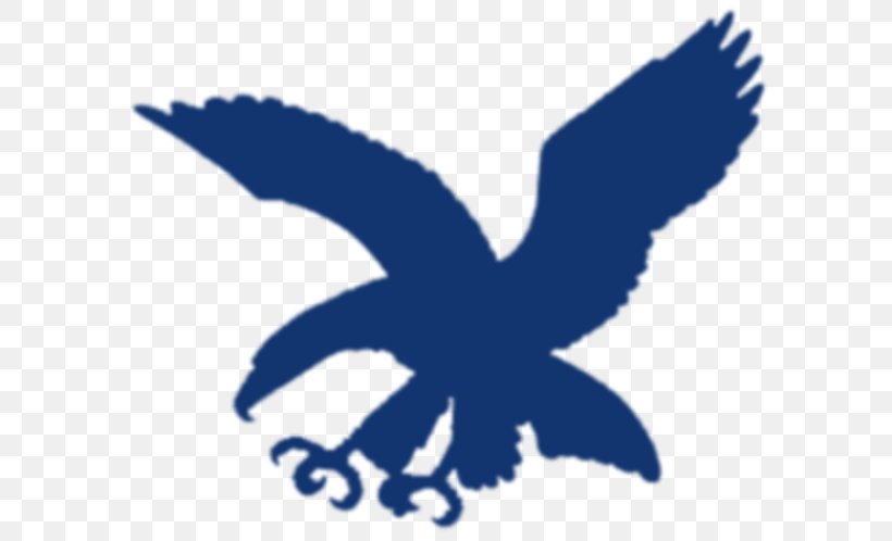 Ateneo Blue Eagles Ateneo De Manila University ADMU Lady Blue Spikers Blue Eagle Gym De La Salle University, PNG, 600x498px, Ateneo Blue Eagles, Admu Lady Blue Spikers, Ateneo De Manila University, Beak, Bird Download Free