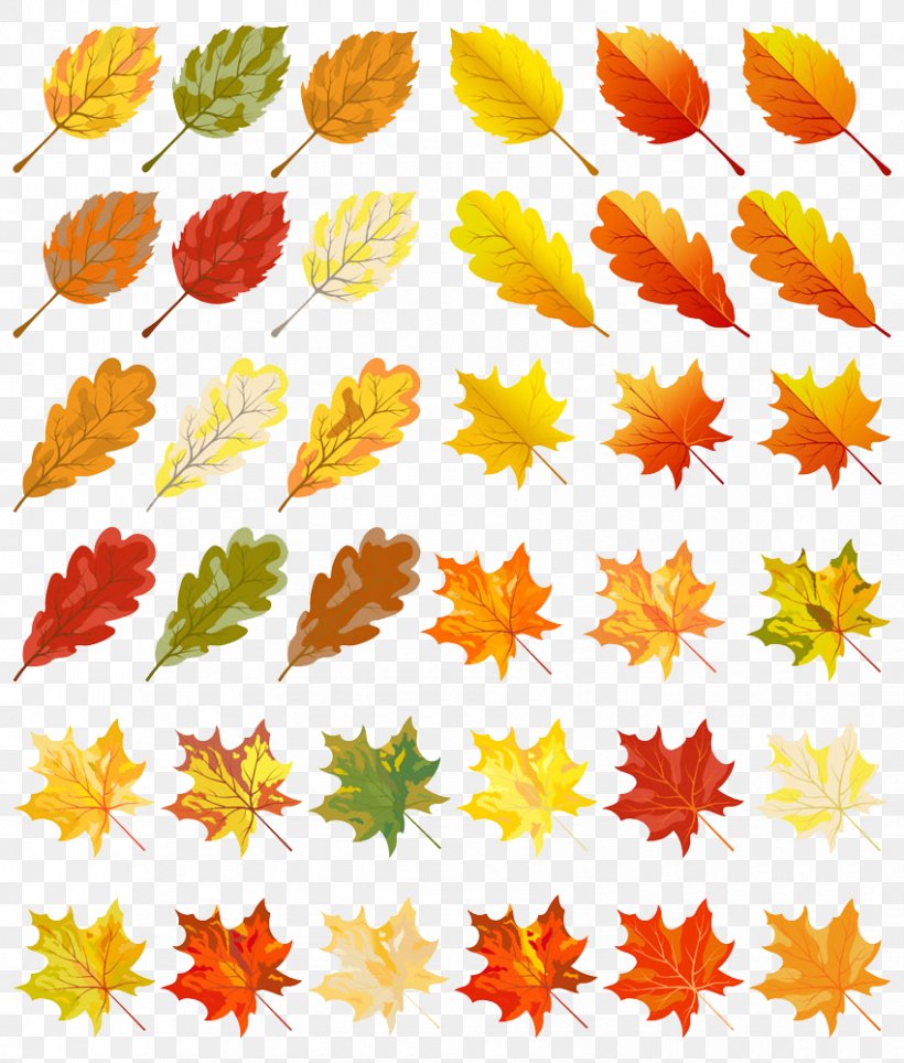 Autumn Leaf Color Clip Art, PNG, 850x1000px, Autumn Leaf Color, Autumn, Color, Coloring Book, Drawing Download Free