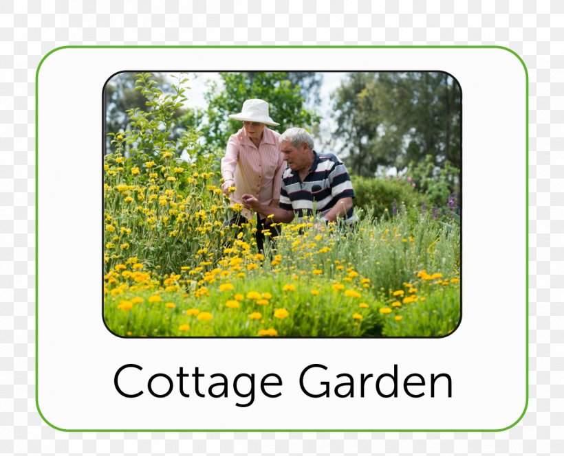 Bendigo Cottage Garden Botanical Garden Lawn, PNG, 1199x971px, Bendigo, Botanical Garden, City Of Bendigo, Cottage, Cottage Garden Download Free