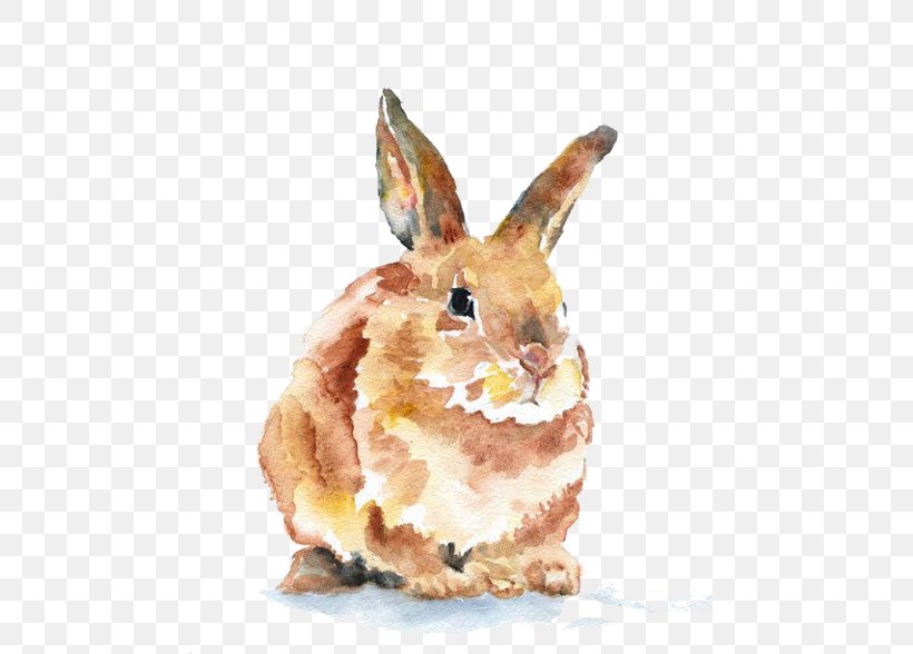 Domestic Rabbit Watercolor Painting Art Drawing, PNG, 480x588px, Domestic Rabbit, Art, Artist, Artist Trading Cards, Drawing Download Free