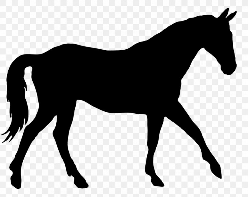 Horse Silhouette Equestrian Dressage Clip Art, PNG, 850x675px, Horse, Black, Black And White, Bridle, Collection Download Free