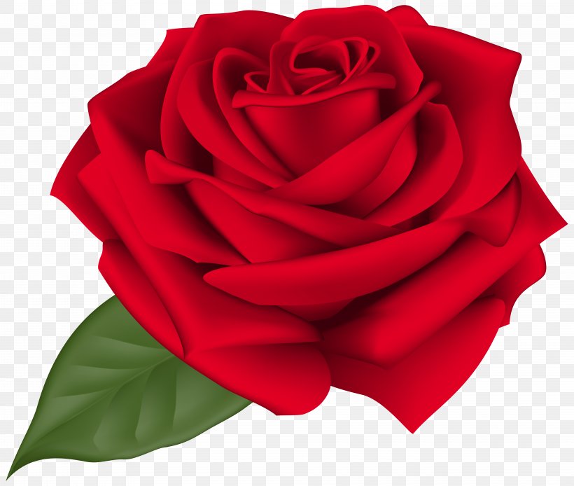 Rose Flower Clip Art, PNG, 8000x6777px, Rose, Black Rose, Bud, Cut Flowers, Floral Design Download Free